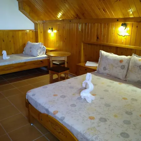 Pensjonat Doctor's House 3*