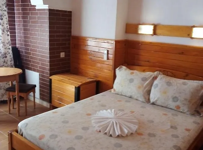 Pensión Doctor's House 3*