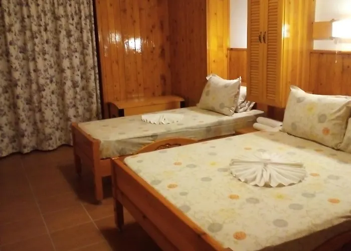 Pensión Doctor's House Sinemoretz