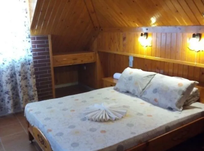 Doctor's House Sinemoretz