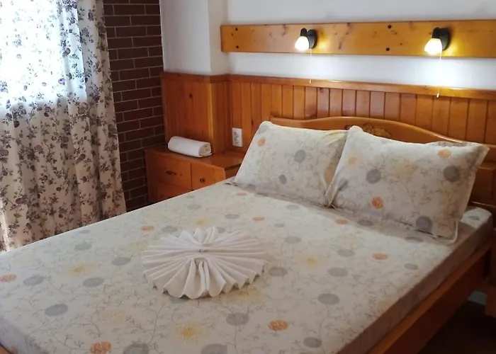 Doctor's House Pensión